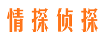 武功市婚外情调查